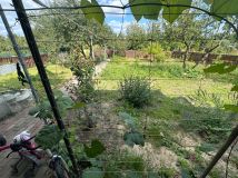 Działka rod Świebodzin, ul. Kozia. Zdjęcie 4