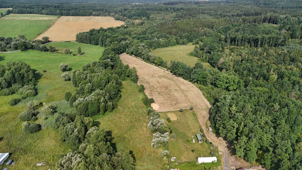 Działka siedliskowa Nowa Wieś Wielka. Zdjęcie 4
