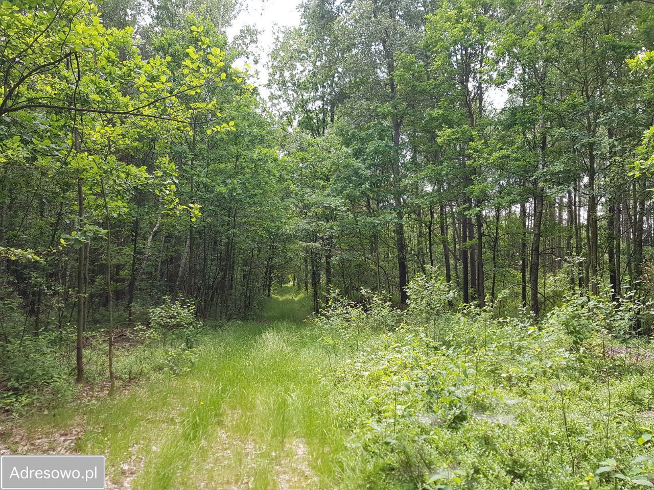 Działka budowlana Kontrewers. Zdjęcie 15