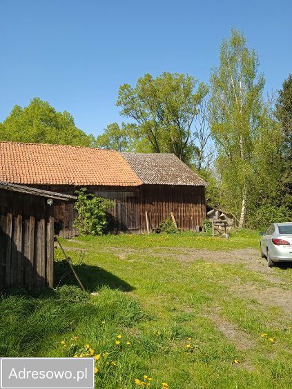 siedlisko Bornity. Zdjęcie 6