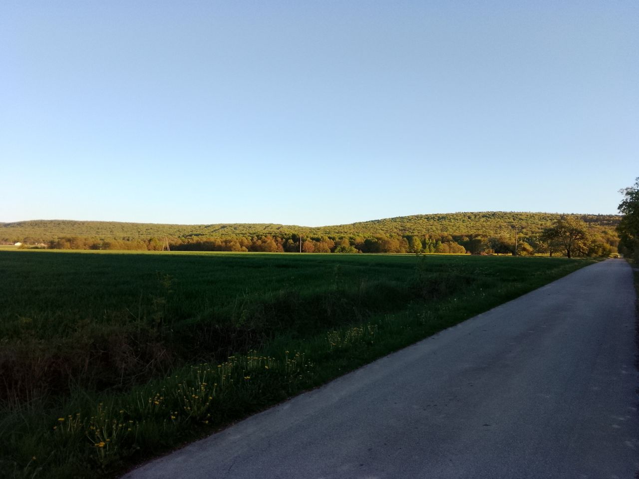 Działka budowlana Milejowice Gajówka