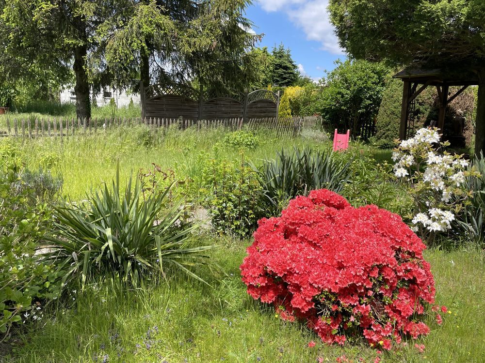 Działka rod Kalisz, ul. Poranna. Zdjęcie 6