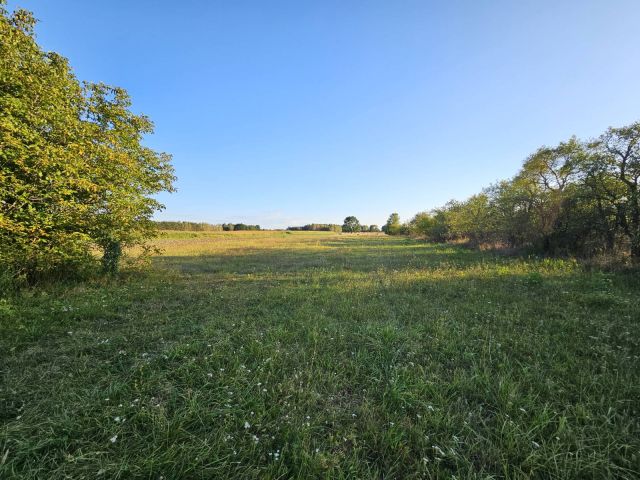 Działka budowlana Wola Pasikońska. Zdjęcie 1