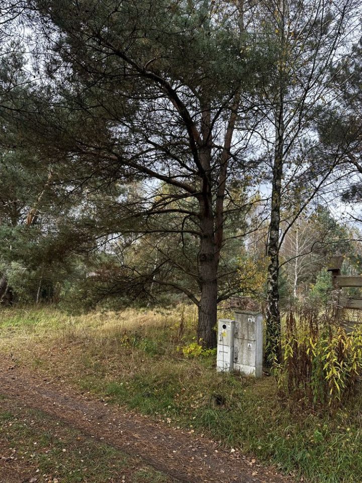 Działka budowlana Stare Wierzchowo. Zdjęcie 2