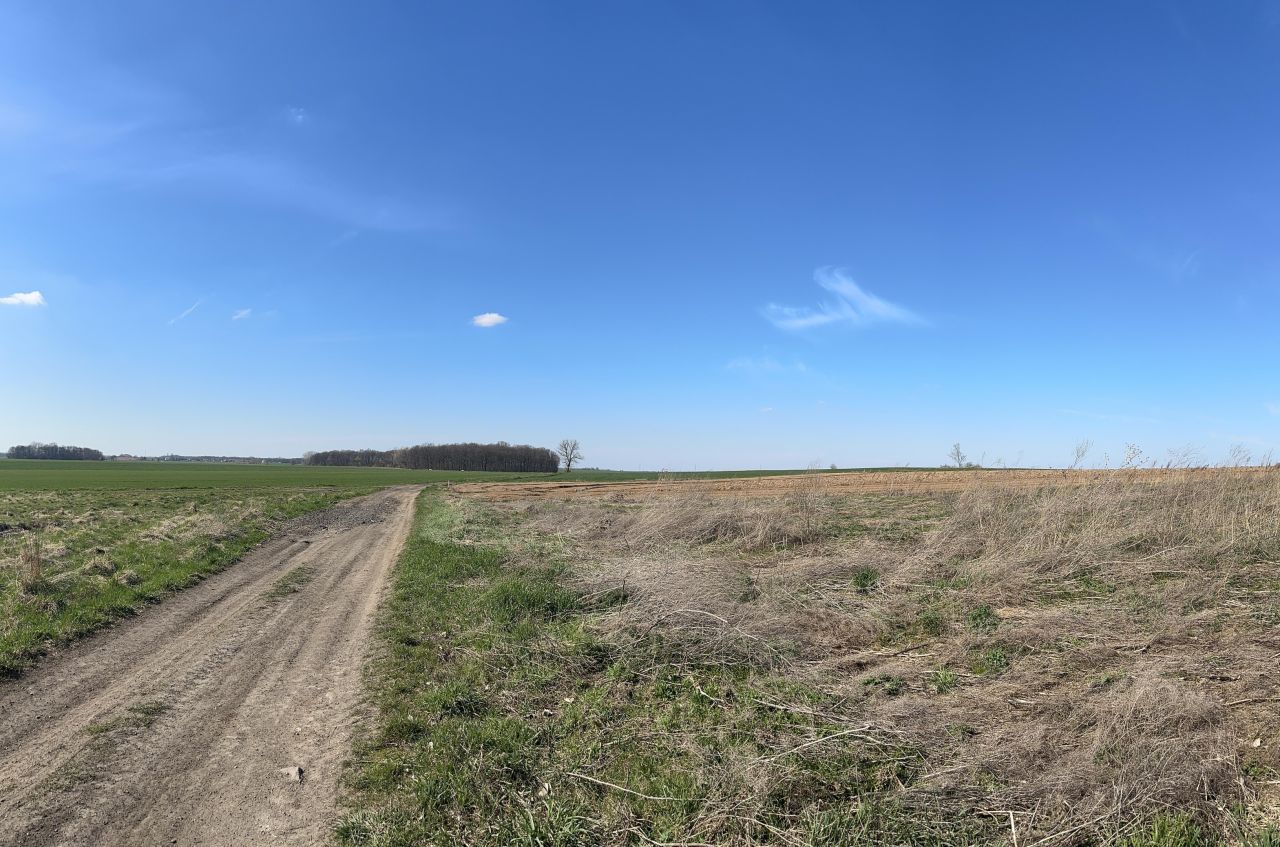 Działka rolna Snowidza. Zdjęcie 6