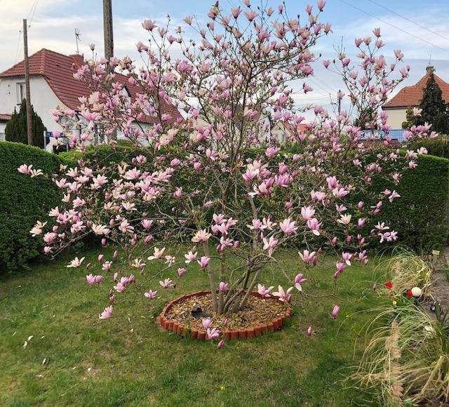 bliźniak Łobez, ul. Marii Konopnickiej. Zdjęcie 15