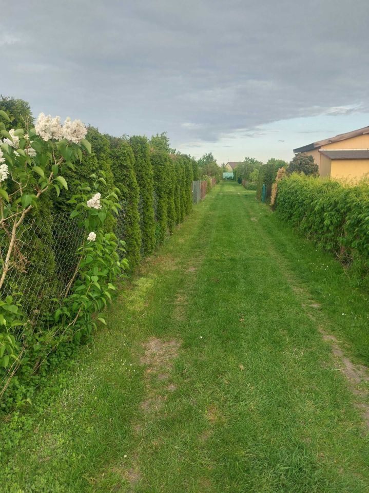 Działka rod Grajewo. Zdjęcie 6