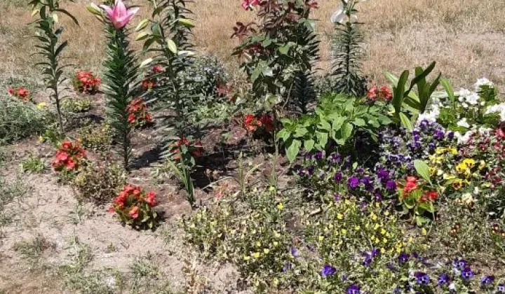 Działka budowlana Brody, ul. Wschodnia