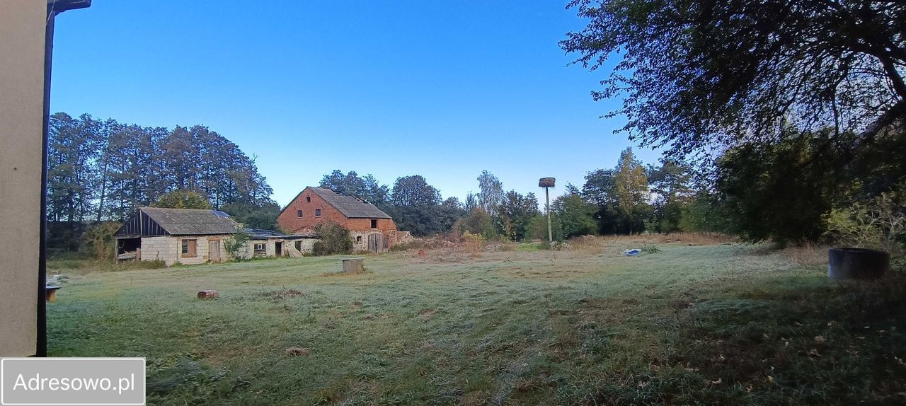 siedlisko, 6 pokoi Borowy Młyn. Zdjęcie 11