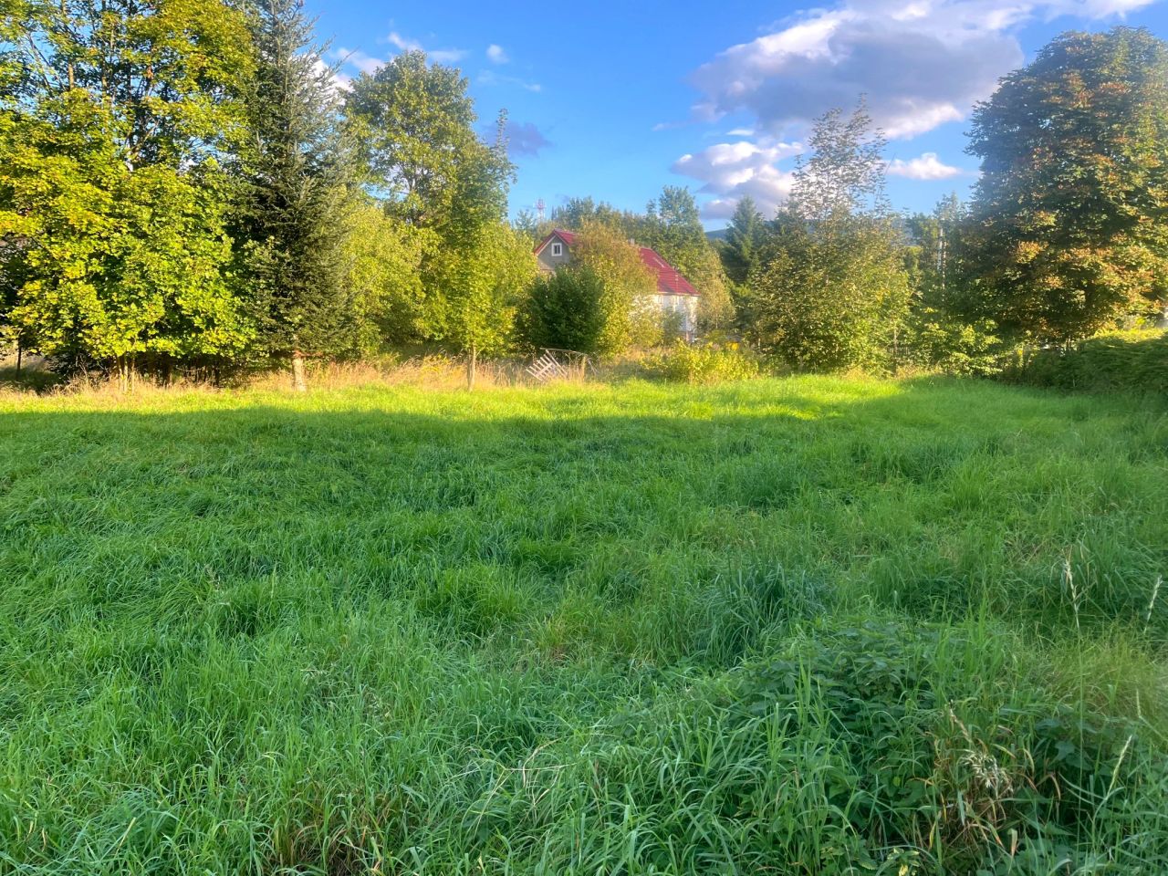 Działka budowlana Karpniki. Zdjęcie 3