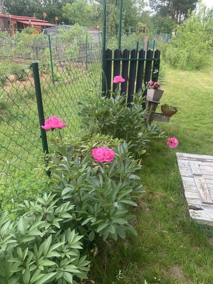 Działka rod Lublin Stary Gaj. Zdjęcie 5