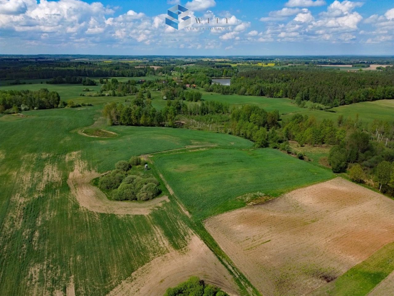 Działka rolna Liwa. Zdjęcie 13
