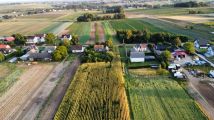 Działka rolno-budowlana Polekarcice. Zdjęcie 3