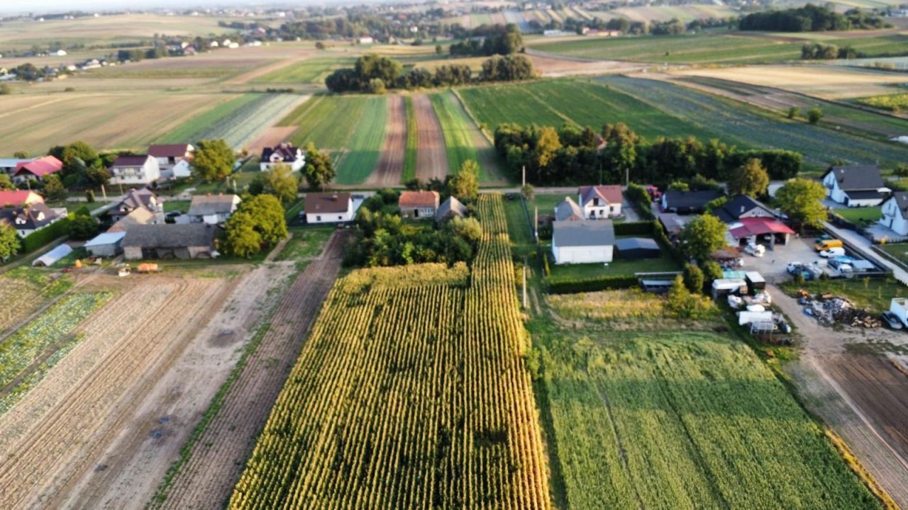 Działka rolno-budowlana Polekarcice. Zdjęcie 4