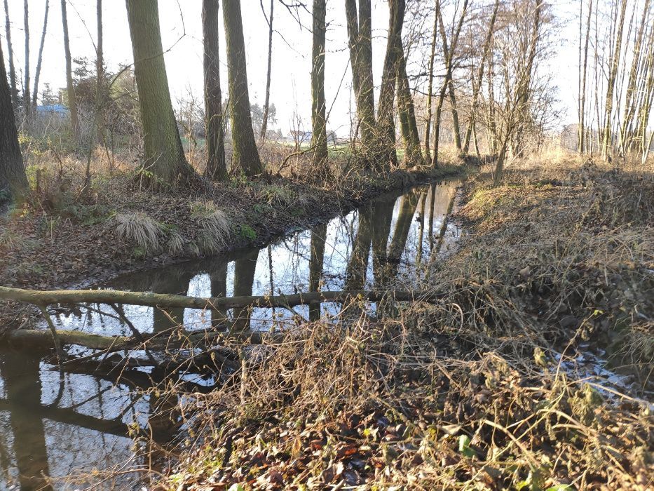 Działka rolno-budowlana Rzeczyca, ul. Łąkowa. Zdjęcie 4