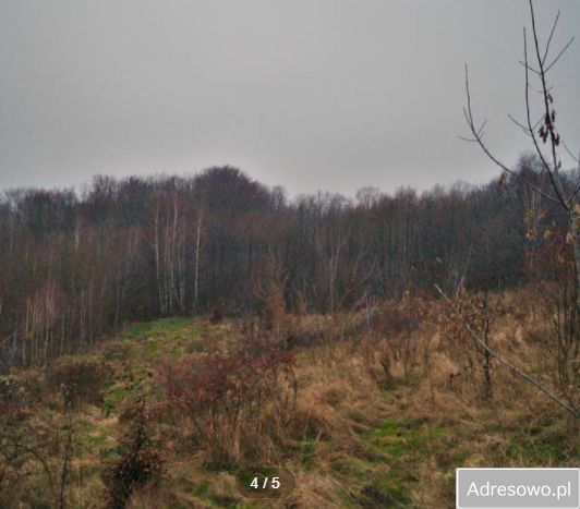 Działka rolna Rakówiec. Zdjęcie 2