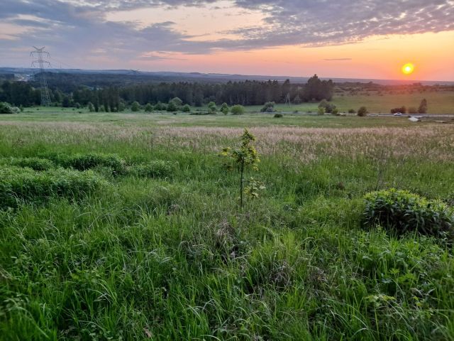 Działka rolno-budowlana Sączów. Zdjęcie 1