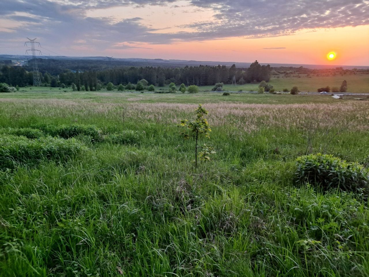 Działka rolno-budowlana Sączów. Zdjęcie 1