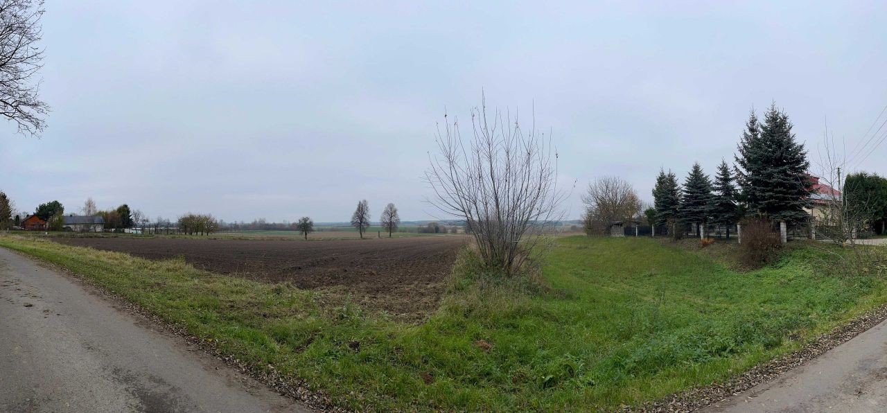 Działka rolna Jankowice. Zdjęcie 4