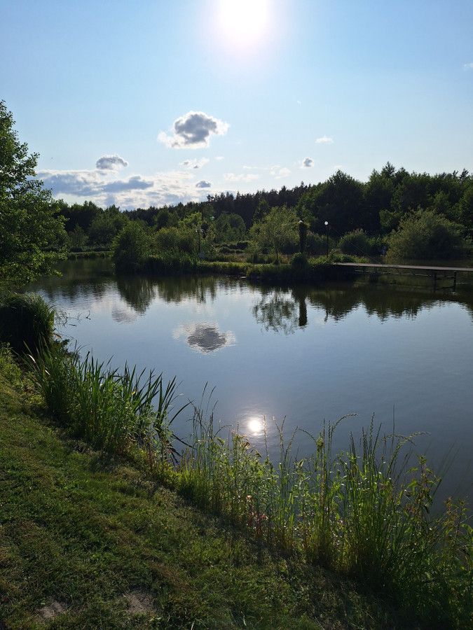 Działka Strzygi. Zdjęcie 9