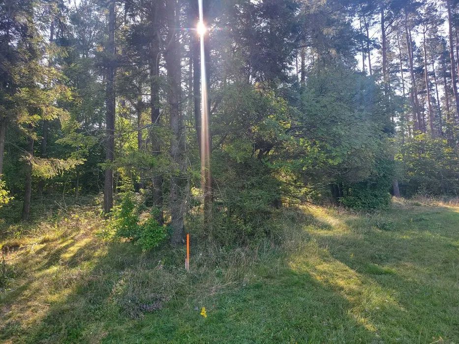 Działka budowlana Pomlewo, ul. Sosnowa. Zdjęcie 9