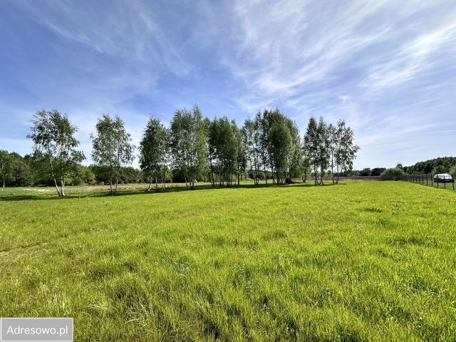 Działka budowlana Natolin. Zdjęcie 1