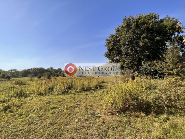 Działka inwestycyjna Skierdy, ul. Lipowa. Zdjęcie 13