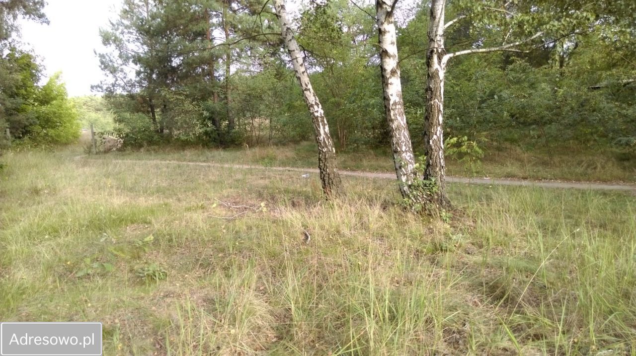 Działka budowlana Międzyborów, ul. Okrężna