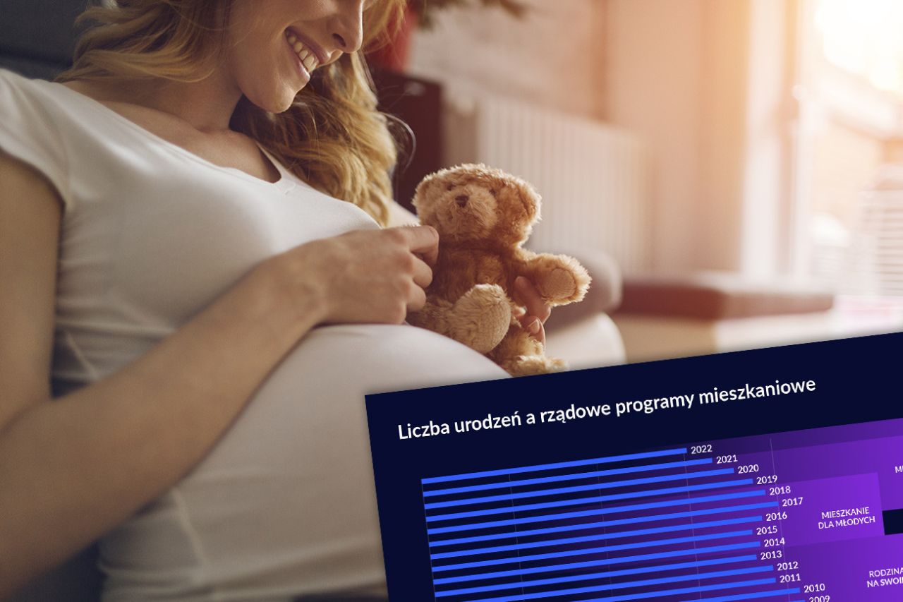 Lokal Gdańsk Wyspa Sobieszewska, ul. Łąkowa. Zdjęcie 4