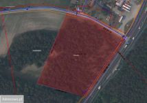 Działka rolna Radziwiłka. Zdjęcie 1