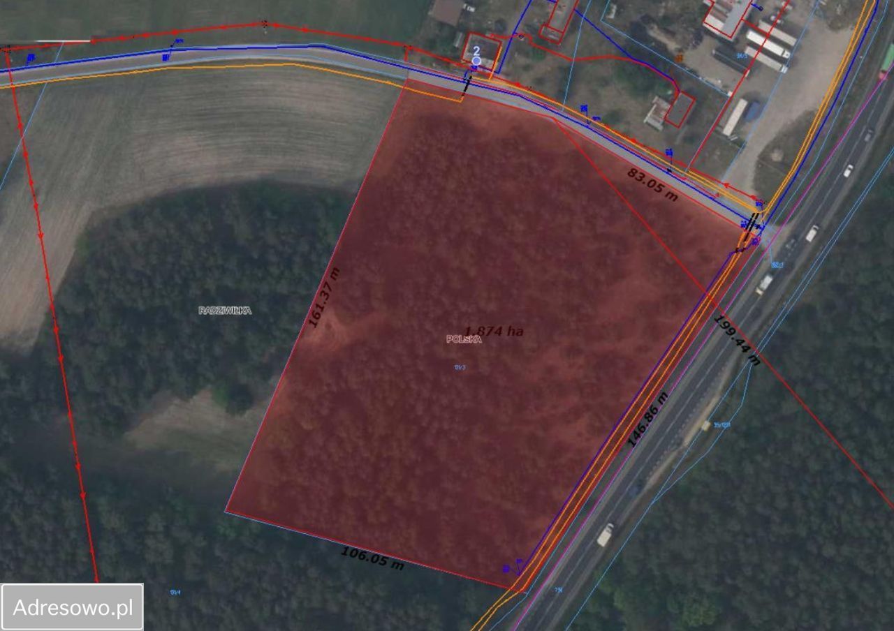 Działka rolna Radziwiłka. Zdjęcie 2