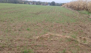 Działka budowlana Smolice