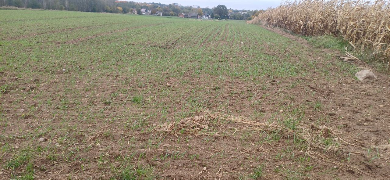 Działka budowlana Smolice. Zdjęcie 2