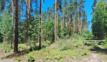 Hala/magazyn Nowa Sarzyna