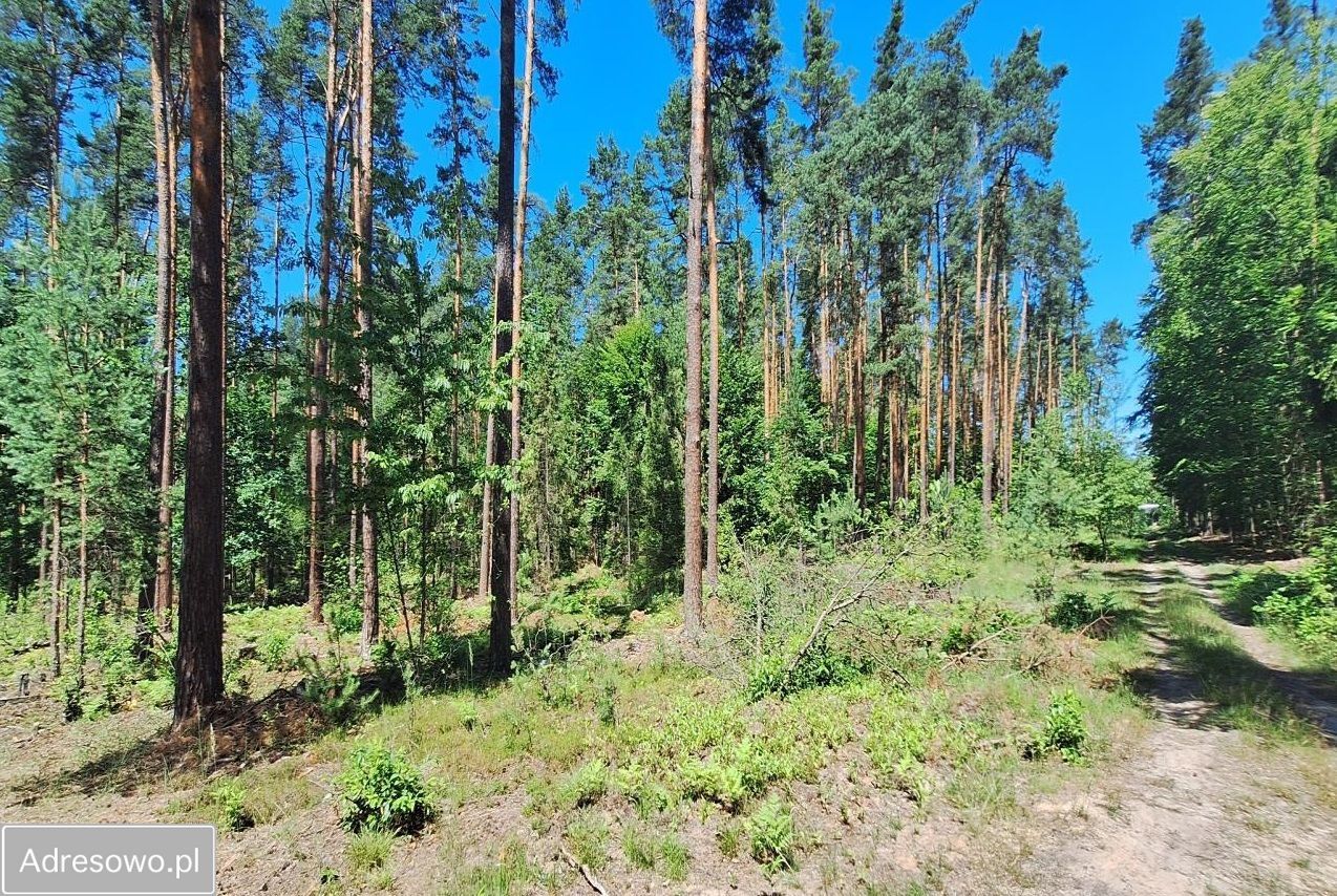 Hala/magazyn Nowa Sarzyna. Zdjęcie 2