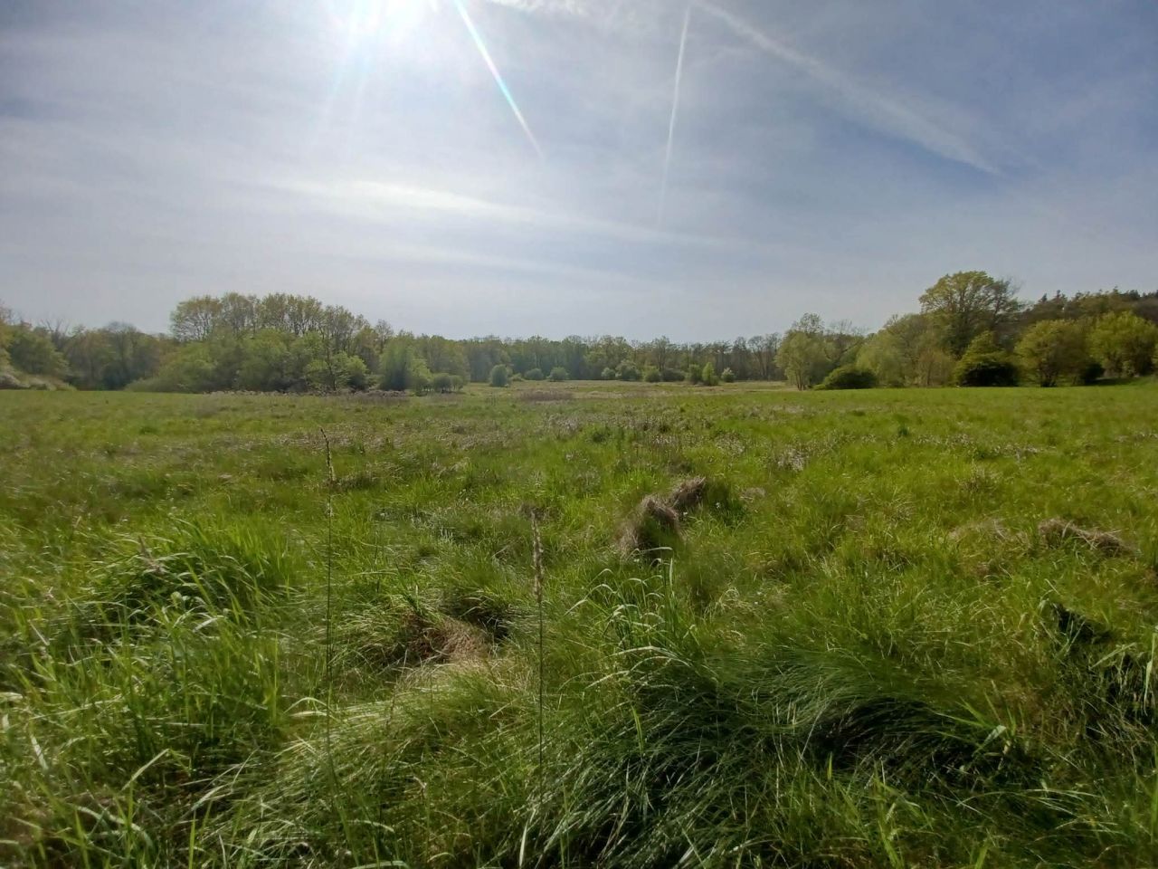 Działka rolna Gliniany. Zdjęcie 11