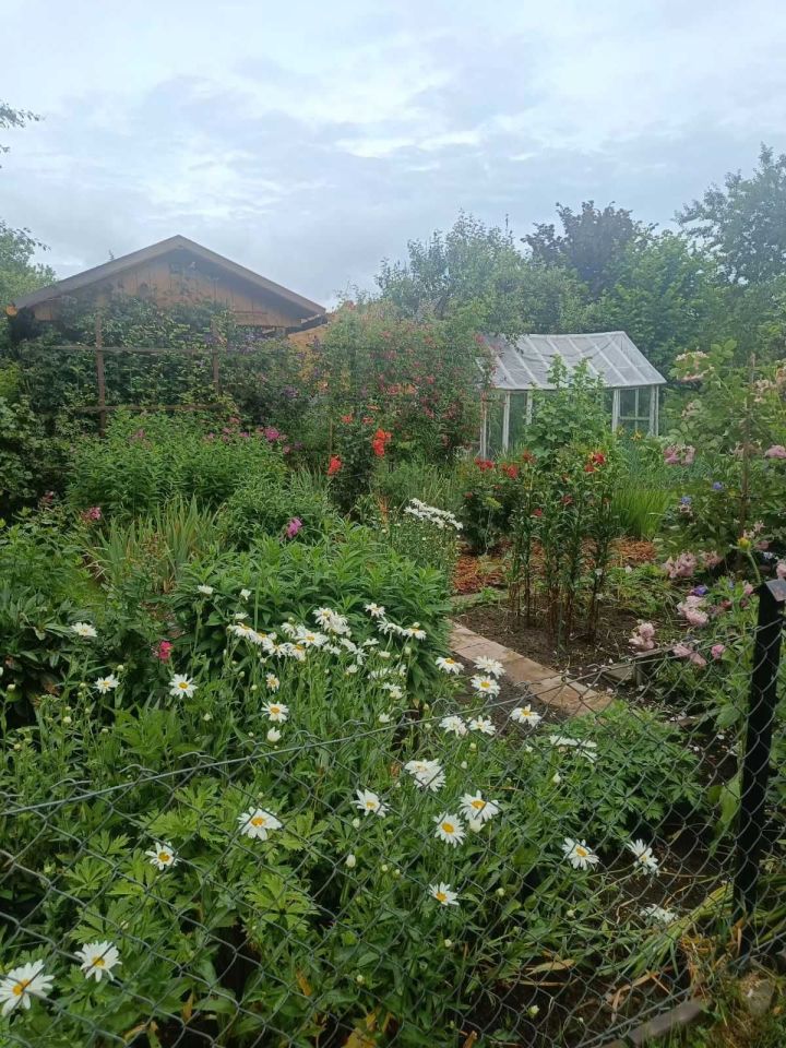 Działka rod Nowy Targ. Zdjęcie 4