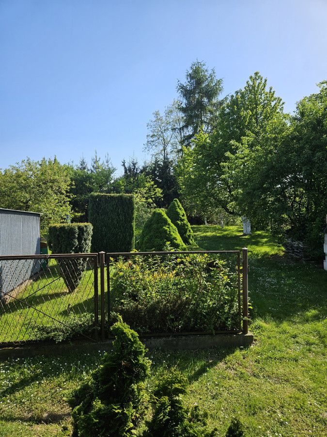 Zdjęcie 6