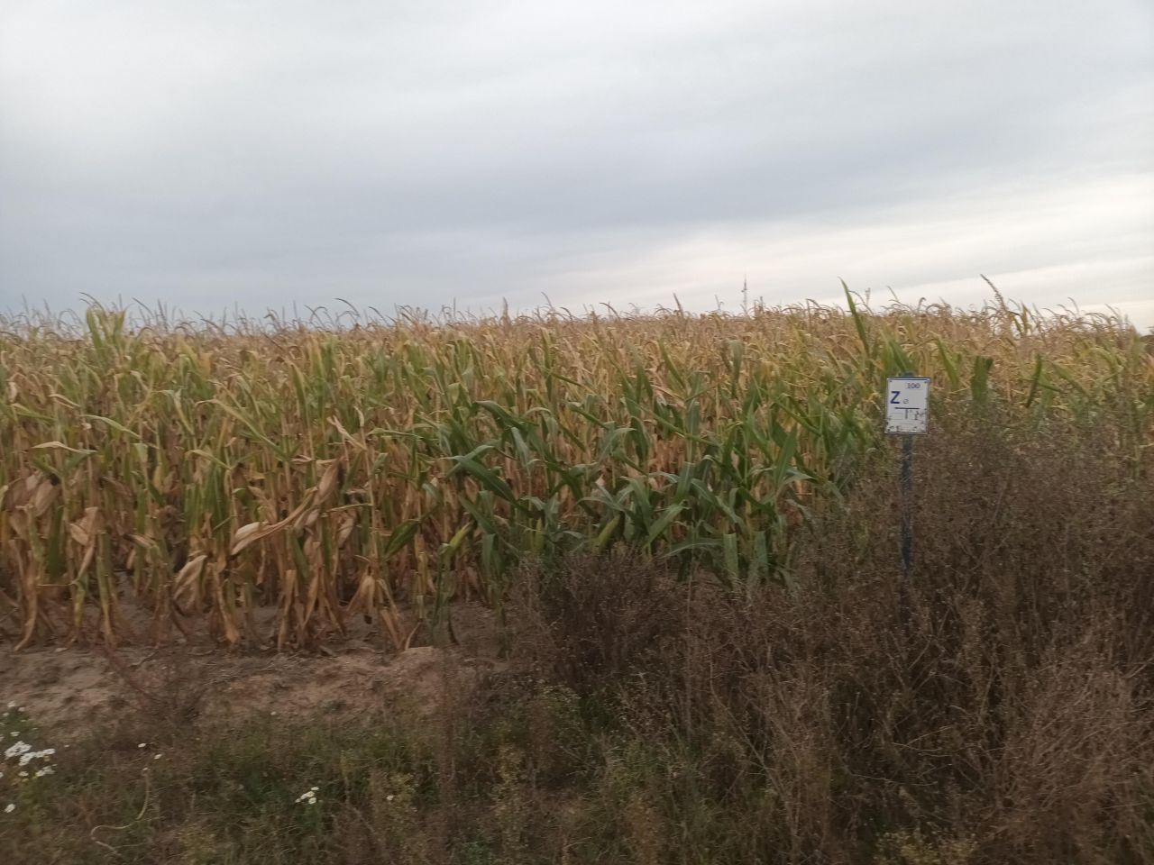 Działka inwestycyjna Strzyżewo Kościelne, os. Osiedle Nad Wełną. Zdjęcie 8
