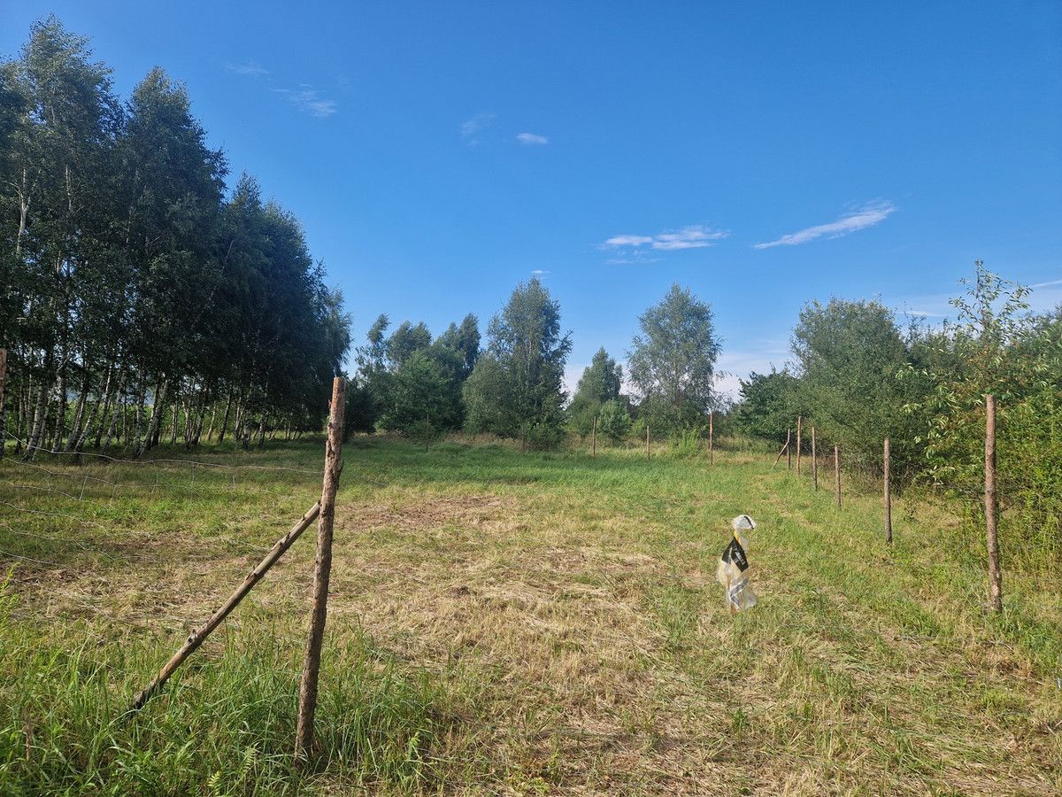 Działka budowlana Poznań Spławie, ul. Chrzanowska. Zdjęcie 4