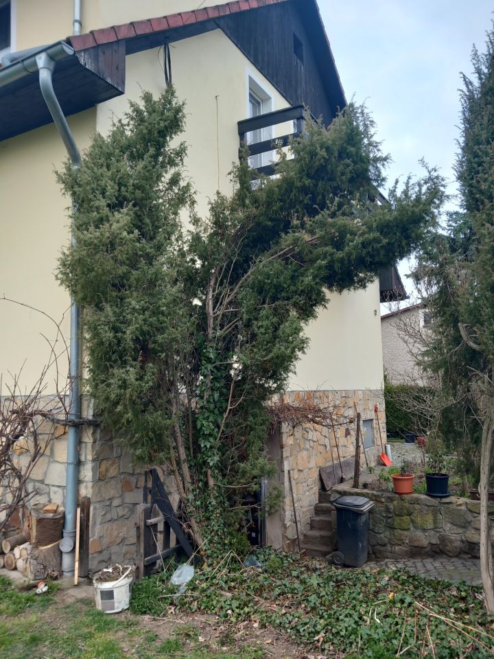 dom wolnostojący, 5 pokoi Gryfów Śląski. Zdjęcie 29