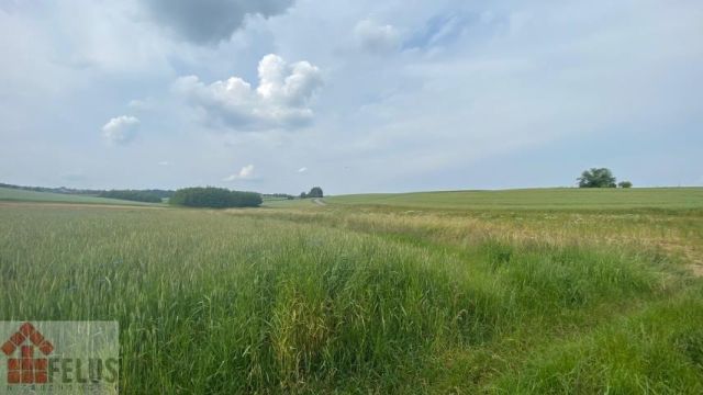 Działka rolna Czułówek. Zdjęcie 2