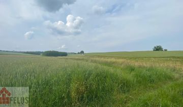 Działka rolna Czułówek