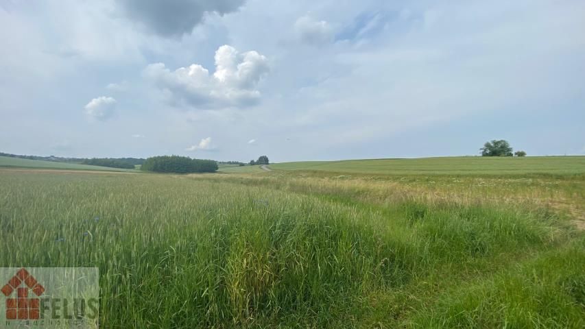 Działka rolna Czułówek. Zdjęcie 2