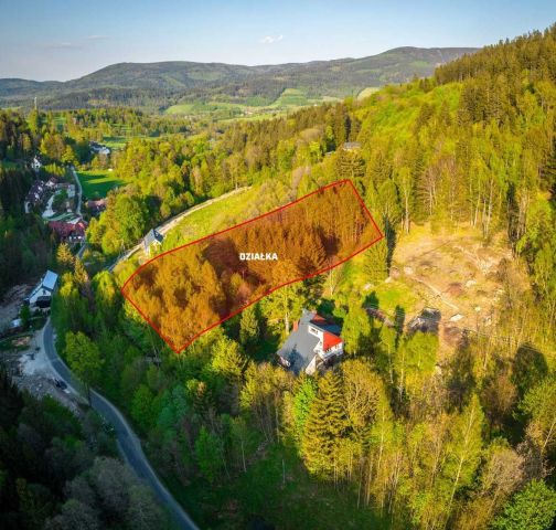 Działka budowlana Kletno. Zdjęcie 1