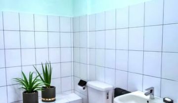 Lokal Siemianowice Śląskie Tuwim, ul. Okrężna