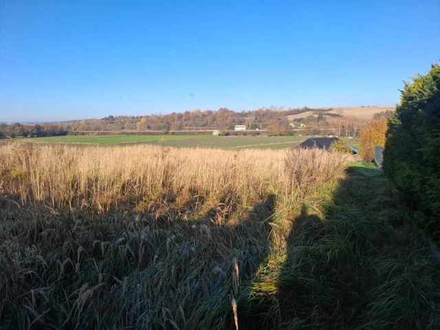 Działka budowlana Ziębice, ul. Pilichowska. Zdjęcie 1