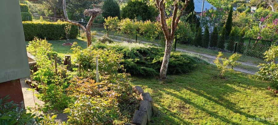 Działka rod Gdańsk Klukowo, ul. Meteorytowa. Zdjęcie 2