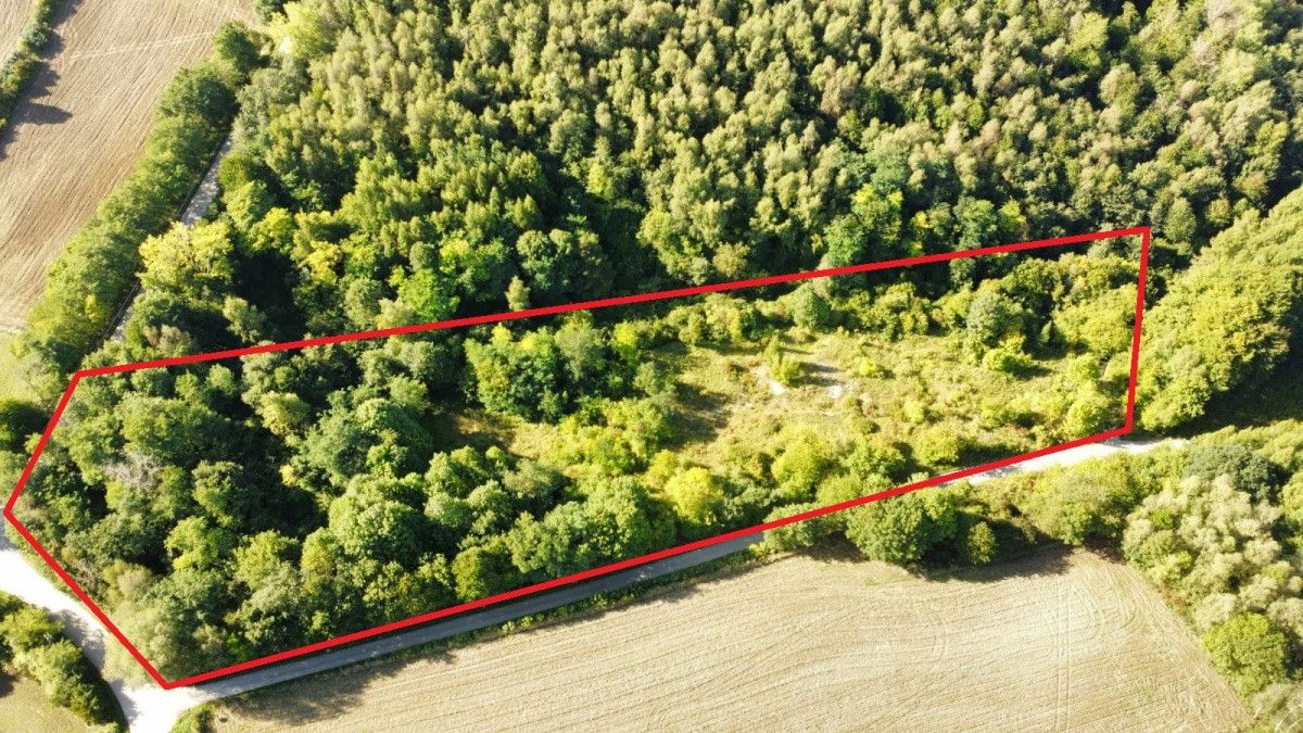 Działka rekreacyjna Śladów. Zdjęcie 11