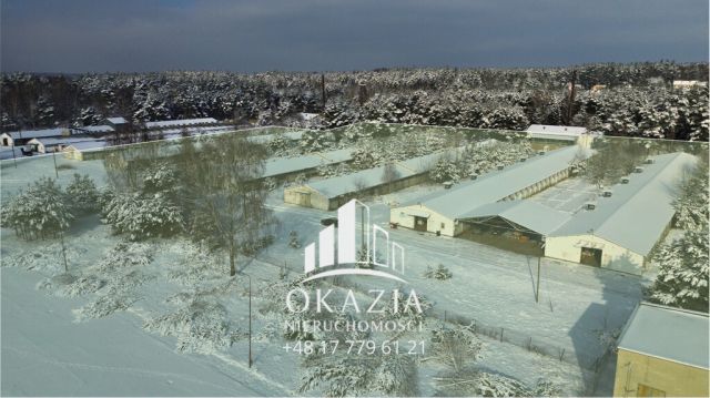 Działka inwestycyjna Wysoka Głogowska. Zdjęcie 21